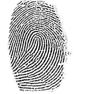 Fingerprint Database Download