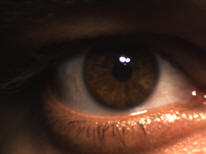 Visible Iris Image