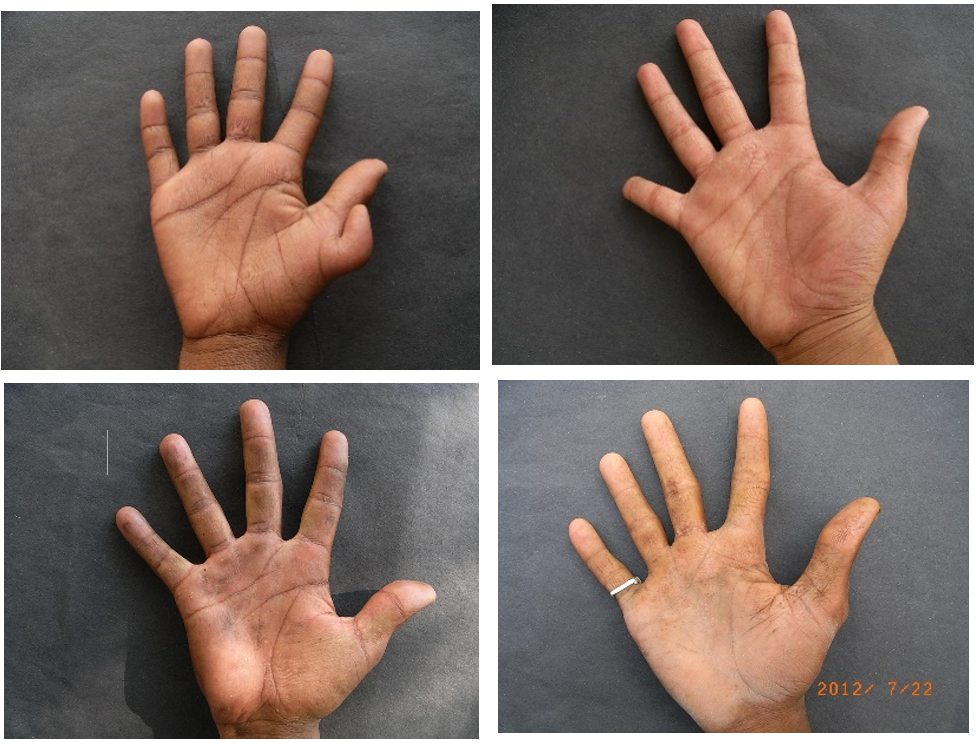 sample images