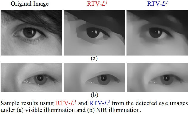 Intermediate Results for Iris Segmentation